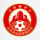 山东泰山足球俱乐部徽章